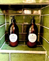 Hand & Body Washes + Conditioning Shampoos